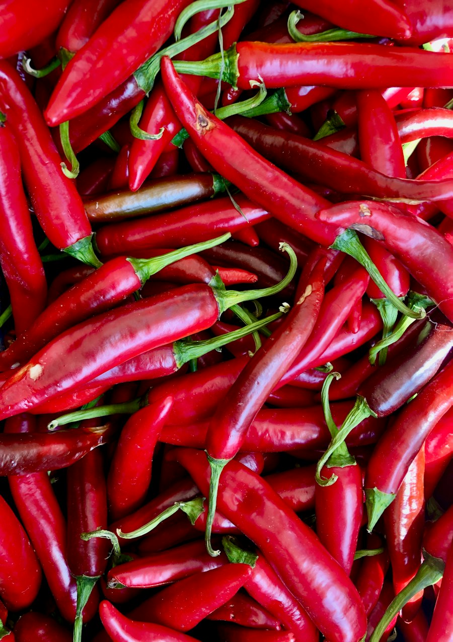 Piment